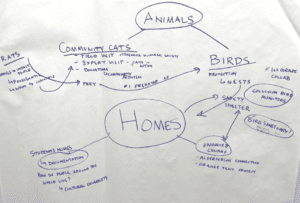 Classroom diagram connecting animals to their habitats