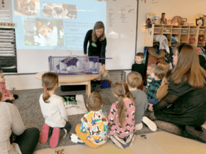 Animal expert shares with kindergarten students about animal behaviors in a classroom